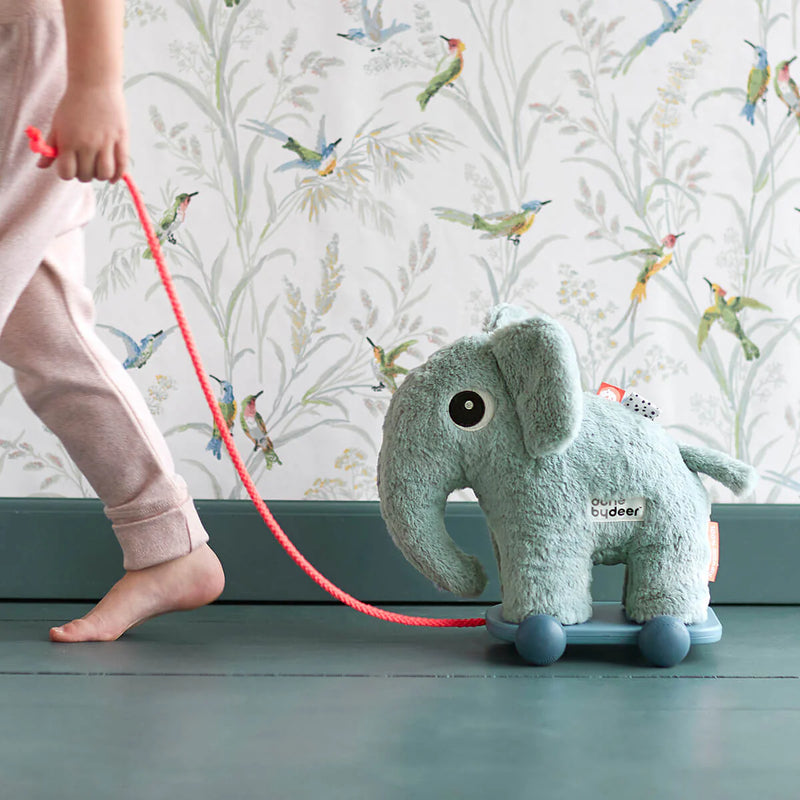 Pull along 2-in-1 toy