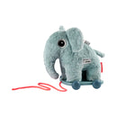 Pull along 2-in-1 toy