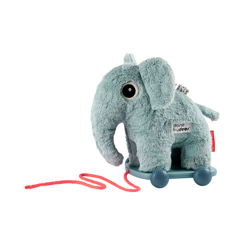 Pull along 2-in-1 toy
