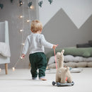 Pull along 2-in-1 toy