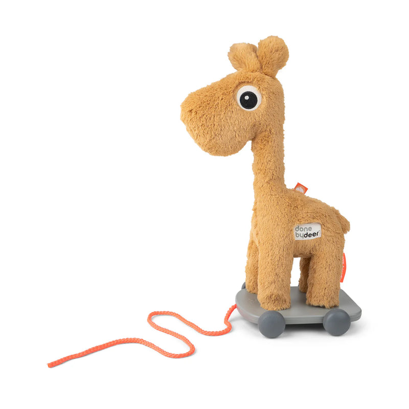 Pull along 2-in-1 toy