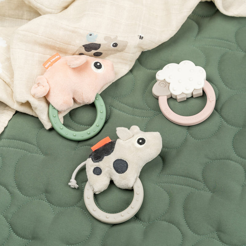 Sensory rattle w/teether